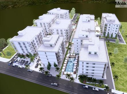 Orchid Casel de Paradise.