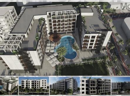 Orchid Casel de Paradise.