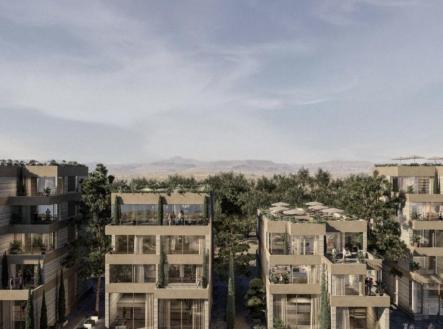 Orchid Casel de Paradise.