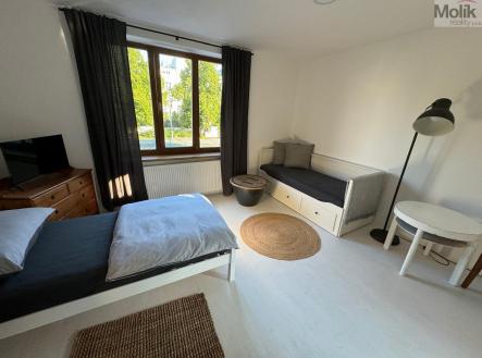 Pronájem bytu, 1+1, 31 m²