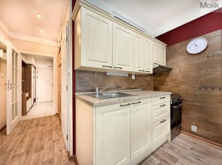 Pronájem bytu, 1+kk, 38 m²