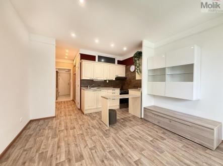 Pronájem bytu, 1+kk, 38 m²