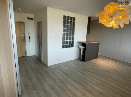 Pronájem bytu, 1+kk, 32,3 m²