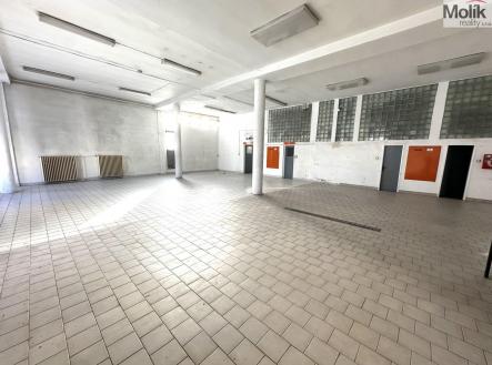 Pronájem obchodní prostor, 173 m²