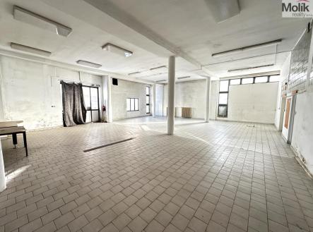 Pronájem obchodní prostor, 173 m²