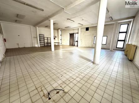 Pronájem obchodní prostor, 173 m²
