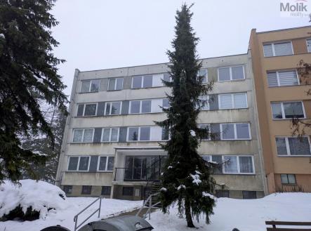 Pronájem bytu, 1+kk, 28 m²