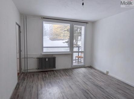 Pronájem bytu, 1+kk, 28 m²