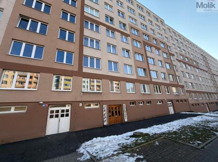 WhatsApp Image 2026-01-19 at 13.12.19.jpeg