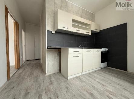 Pronájem bytu, 2+1, 56 m²