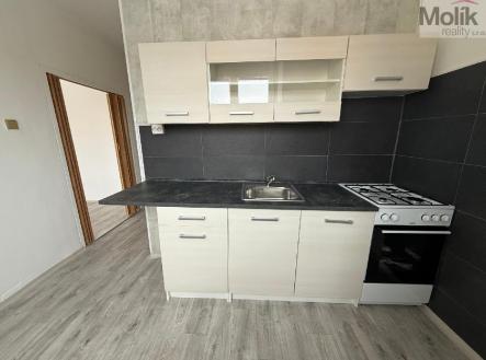 Pronájem bytu, 2+1, 56 m²