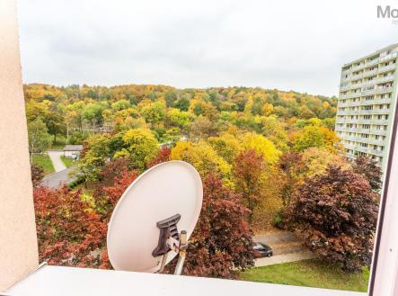 WhatsApp Image 2026-01-20 at 14.10.44 (1).jpeg