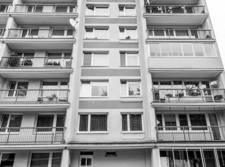 WhatsApp Image 2026-01-20 at 14.10.43.jpeg