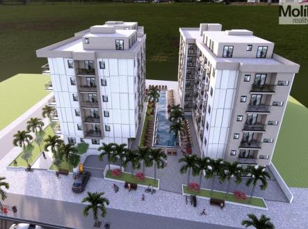 Orchid Casel de Paradise.