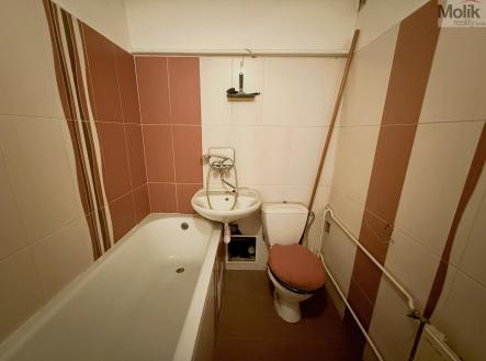 Pronájem bytu, 1+1, 27 m²