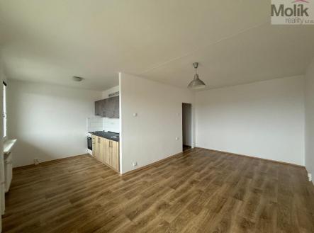 Pronájem bytu, 2+1, 48 m²