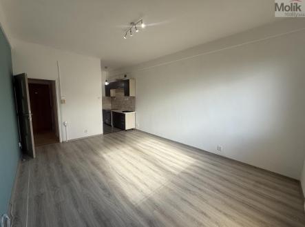 Pronájem bytu, 2+kk, 49 m²