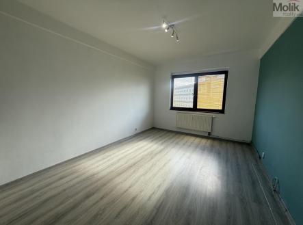 Pronájem bytu, 2+kk, 49 m²