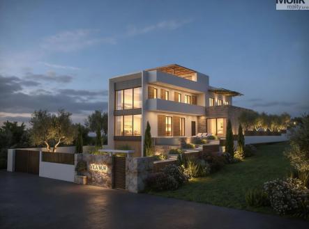 Orchid Casel de Paradise.