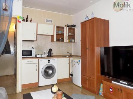 Prodej bytu, 1+kk, 24 m²