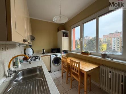 Pronájem bytu, 2+1, 54 m²