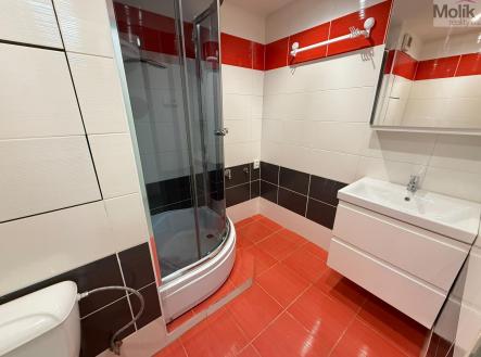 Pronájem bytu, 2+1, 49 m²