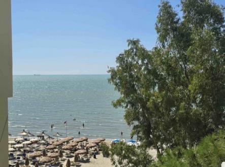 Orchid Casel de Paradise.