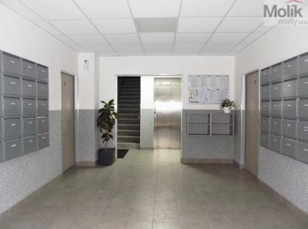 Prodej bytu, 3+1, 74 m²