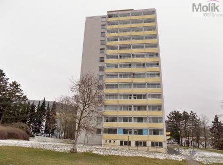 Prodej bytu, 1+kk, 21 m²