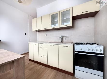 Pronájem bytu, 2+1, 52 m² obrázek