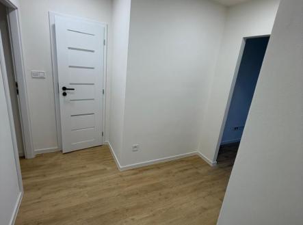 WhatsApp Image 2026-02-23 at 07.26.35 (12).jpeg