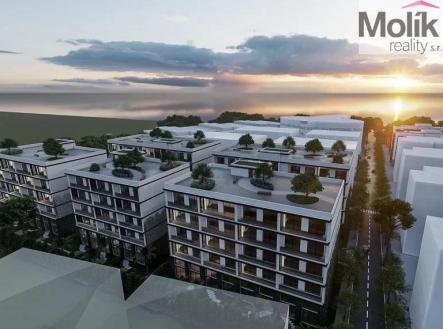 Prodej bytu, 3+kk, 589 m²