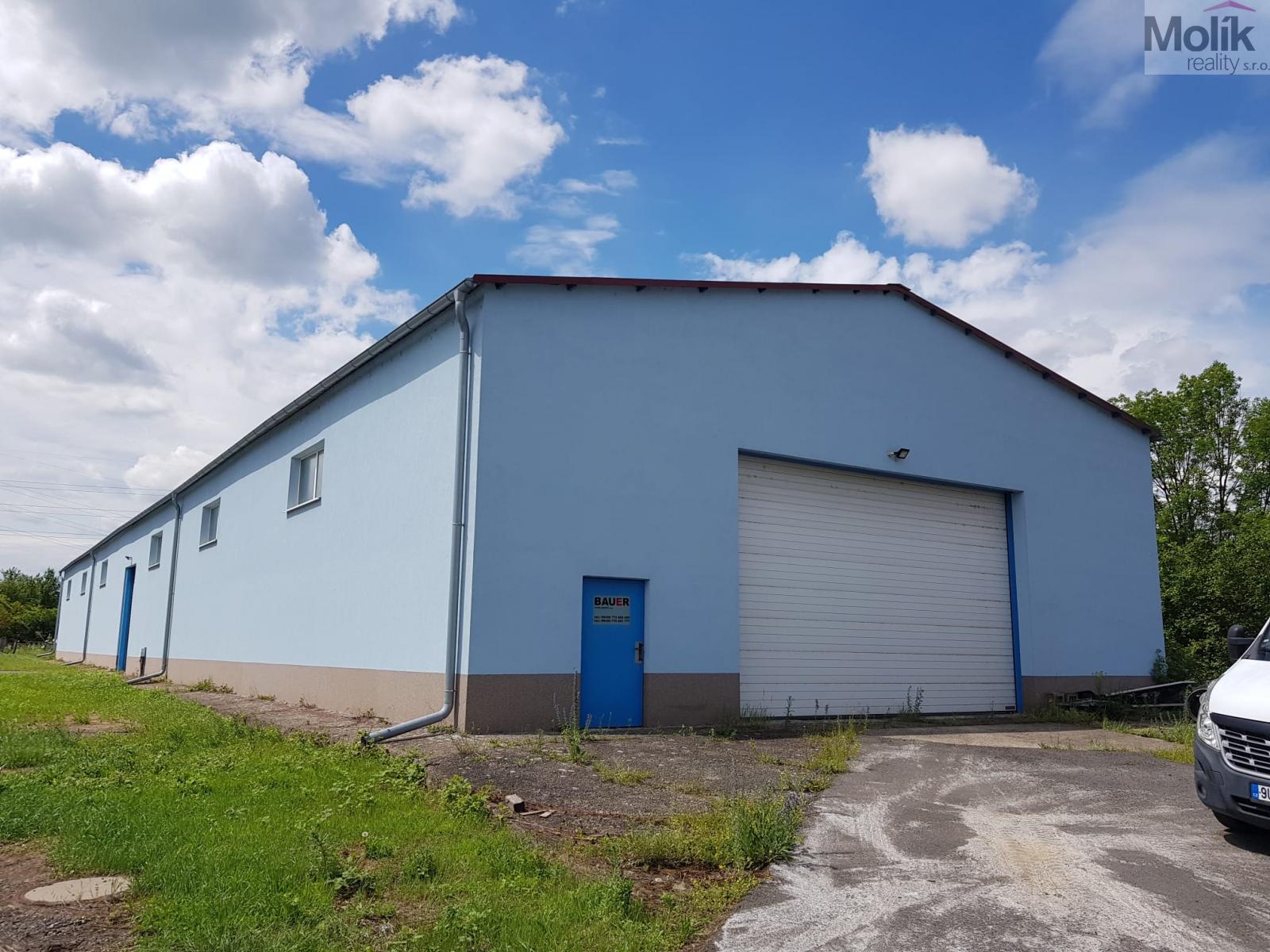 WhatsApp Image 2026-02-04 at 08.33.56.jpeg