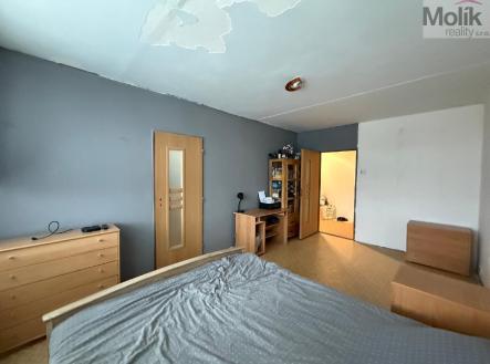 stažený soubor (6).jpg