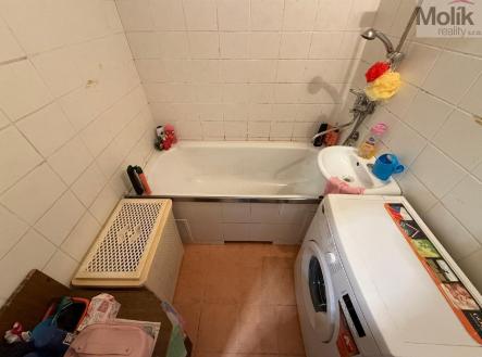 stažený soubor (8).jpg