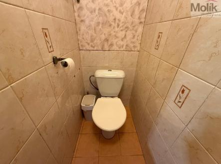 stažený soubor (11).jpg