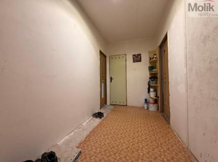 stažený soubor (9).jpg