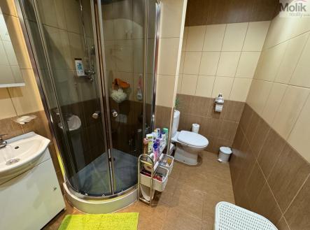 Pronájem bytu, 1+1, 35,5 m²