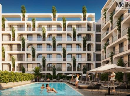 Orchid Casel de Paradise.