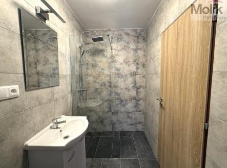 Pronájem bytu, 3+1, 56 m²