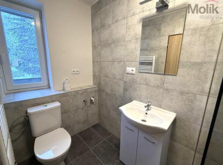 Pronájem bytu, 3+1, 56 m²