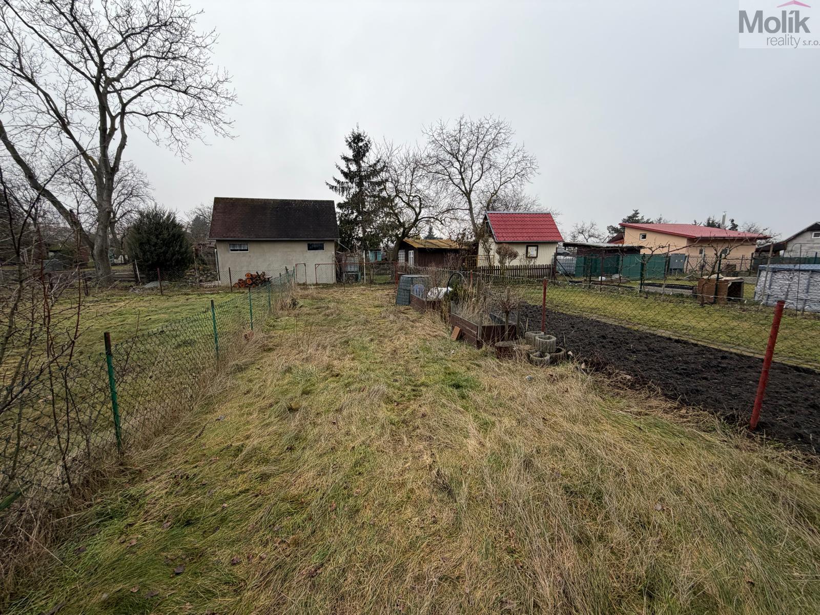 WhatsApp Image 2026-02-11 at 10.56.54 (2).jpeg