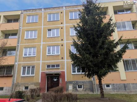 Pronájem bytu, 2+1, 55 m²