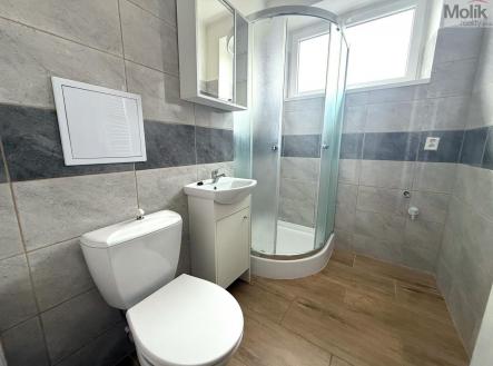 Pronájem bytu, 1+kk, 20 m²