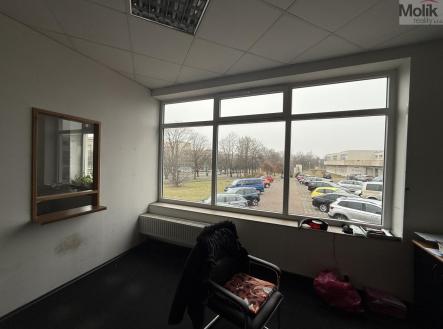 Pronájem obchodní prostor, 41 m²