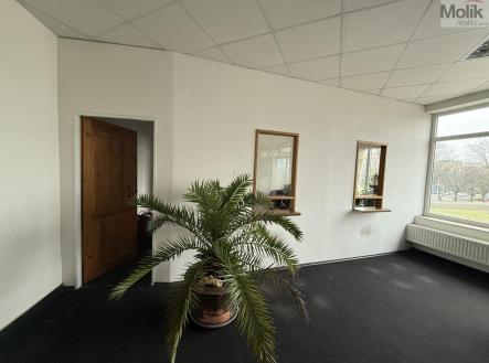 Pronájem obchodní prostor, 41 m²