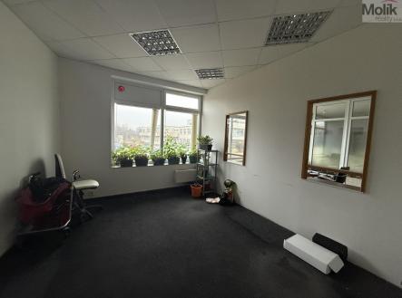 Pronájem obchodní prostor, 41 m²