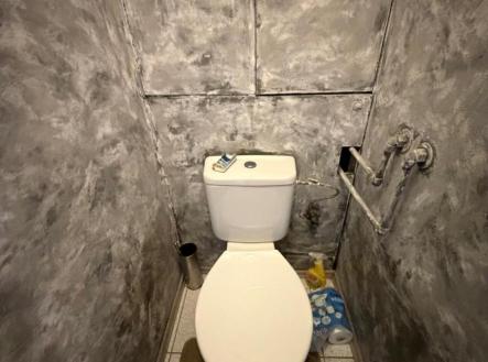 WhatsApp Image 2026-02-17 at 08.59.04 (6).jpeg