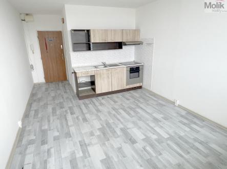 Prodej bytu, 1+kk, 22 m²