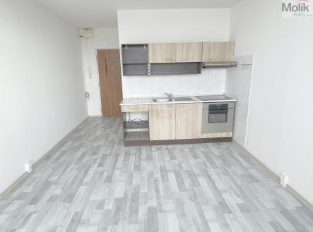 Prodej bytu, 1+kk, 22 m²